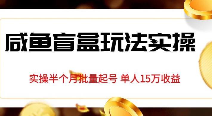 独家首发咸鱼盲盒玩法实操,半个月批量起号单人15万收益【揭秘】