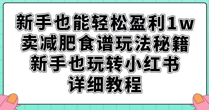 新手也能轻松盈利1w,卖减肥食谱玩法秘籍,新手也玩转小红书详细教程【揭秘】