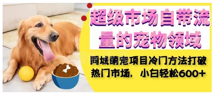超级市场自带流量的宠物领域,同城萌宠项目冷门方法打破热门市场,小白轻松600+