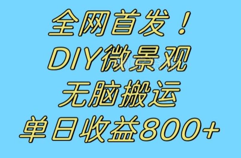 全网首发冷门赛道!DIY微景观,无脑搬运视频,日收益800+【揭秘】