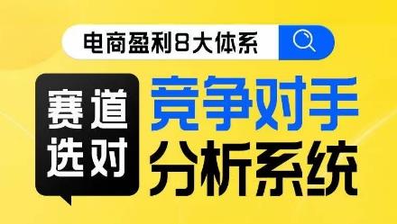 电商盈利8大体系·赛道选对,竞争对手分析系统线上课