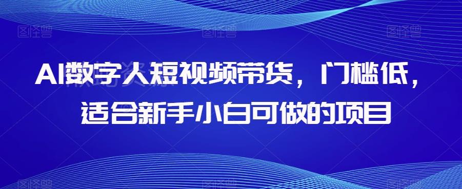 AI数字人短视频带货,门槛低,适合新手小白可做的项目