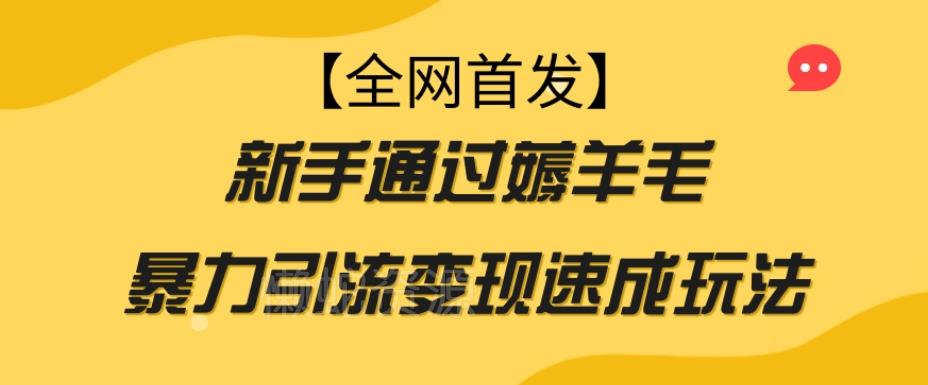 【全网首发】新手通过薅羊毛暴力引流变现速成玩法