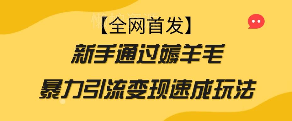 【全网首发】新手通过薅羊毛暴力引流变现速成玩法