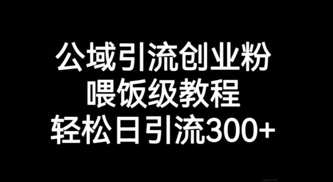 公域引流创业粉,喂饭级教程,轻松日引流300+【揭秘】