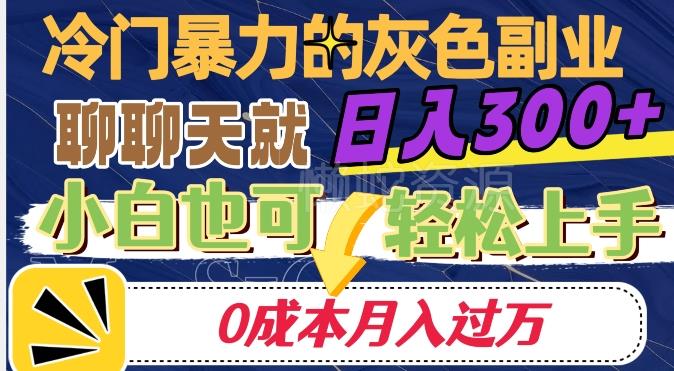 冷门暴利的副业项目,聊聊天就能日入300+,0成本月入过万【揭秘】