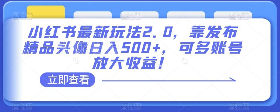 小红书最新玩法2.0,靠发布精品头像日入500+,可多账号放大收益!【揭秘】