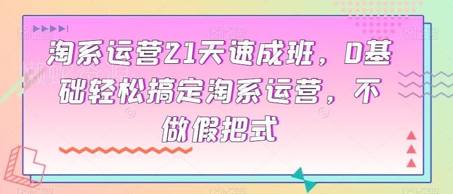 淘系运营21天速成班,0基础轻松搞定淘系运营,不做假把式