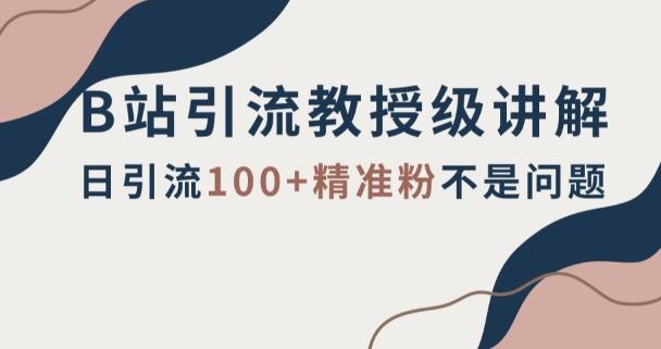 B站引流教授级讲解,细节满满,日引流100+精准粉不是问题【揭秘】