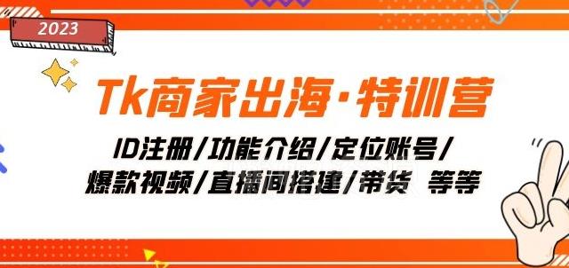 Tk商家出海·特训营:ID注册/功能介绍/定位账号/爆款视频/直播间搭建/带货