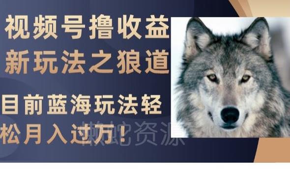 视频号撸收益新玩法之狼道,目前蓝海玩法,轻松月入过万【揭秘】