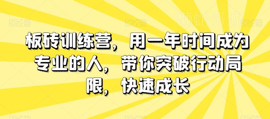 板砖训练营,用一年时间成为专业的人,带你突破行动局限,快速成长