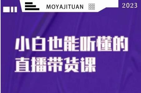 大威本威·能听懂的直播带货课,小白也能听懂,20节完整
