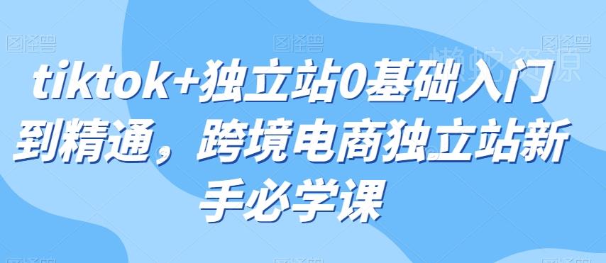 tiktok+独立站0基础入门到精通,跨境电商独立站新手必学课