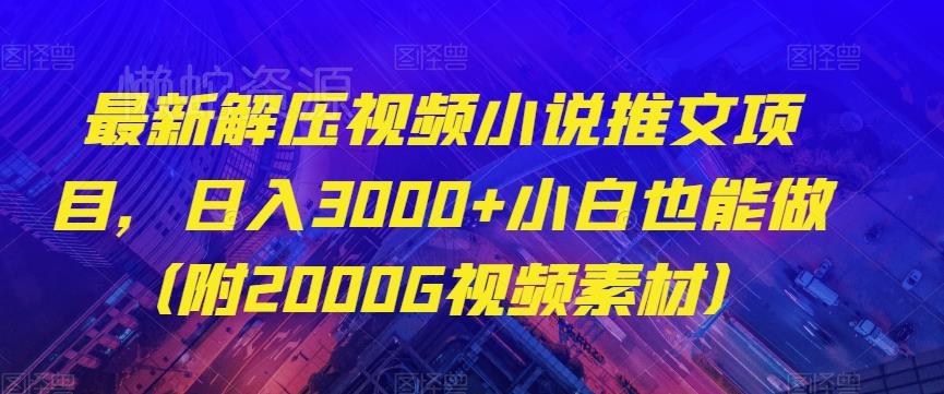 最新解压视频小说推文项目,日入3000+小白也能做(附2000G视频素材)【揭秘】