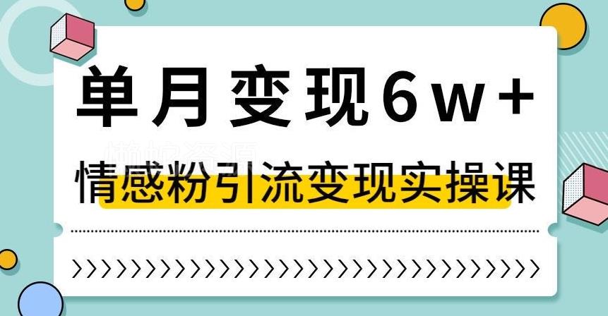 单月变现6W+,抖音情感粉引流变现实操课,小白可做,轻松上手,独家赛道【揭秘】