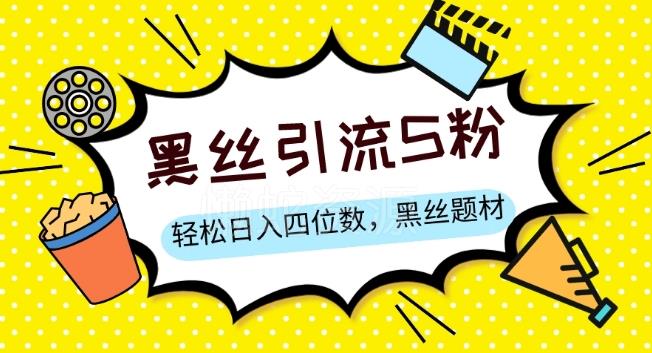 S粉变现,轻松日入四位数,黑丝题材+情感话术【揭秘】