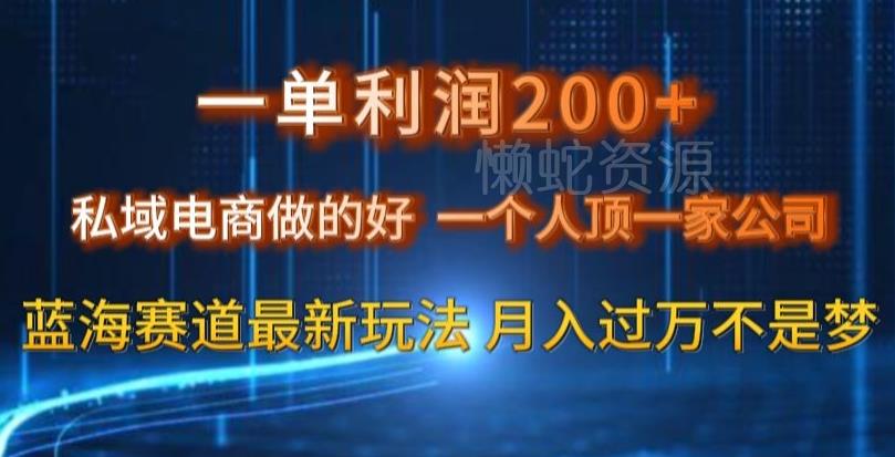 一单利润200私域电商做的好,一个人顶一家公司蓝海赛道最新玩法【揭秘】