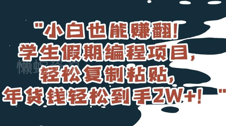 小白也能赚翻!学生假期编程项目,轻松复制粘贴,年货钱轻松到手2W+【揭秘】