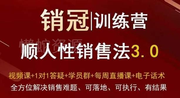 爆款!销冠训练营3.0之顺人性销售法,全方位解决销售难题、可落地、可执行、有结果
