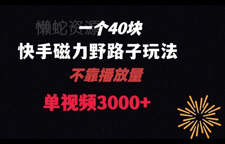 一个40块,快手联合美团磁力新玩法,无视机制野路子玩法,单视频收益4位数【揭秘】