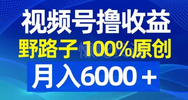 视频号野路子撸收益,100%原创,条条爆款,月入6000+【揭秘】