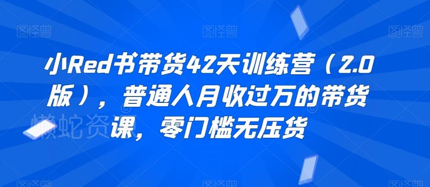 小Red书带货42天训练营(2.0版),普通人月收过万的带货课,零门槛无压货