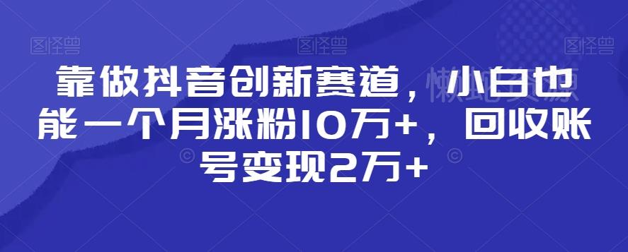 靠做抖音创新赛道,小白也能一个月涨粉10万+,回收账号变现2万+【揭秘】
