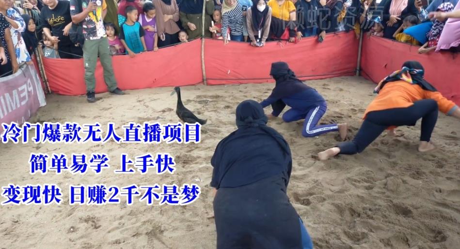 冷门爆款无人直播项目,简单易学上手快,变现快日赚2千不是梦【揭秘】