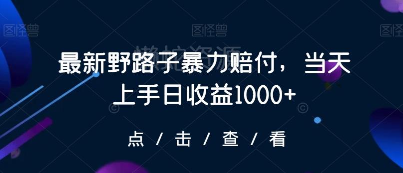 最新野路子暴力赔付,当天上手日收益1000+【仅揭秘】