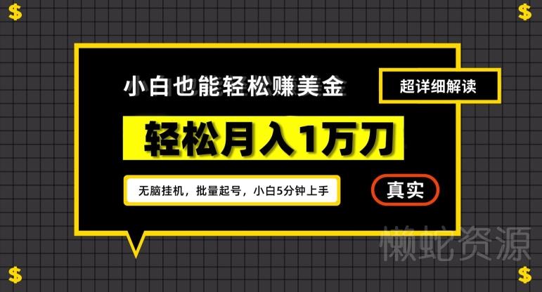 谷歌看广告撸美金2.0,无脑挂机,多号操作,月入1万刀【揭秘】