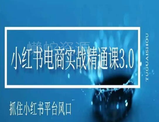小红书电商实战精通课3.0,抓住小红书平台的风口,不错过有一个赚钱的机会