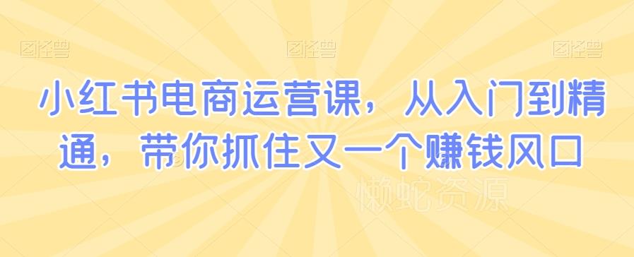 小红书电商运营课,从入门到精通,带你抓住又一个赚钱风口