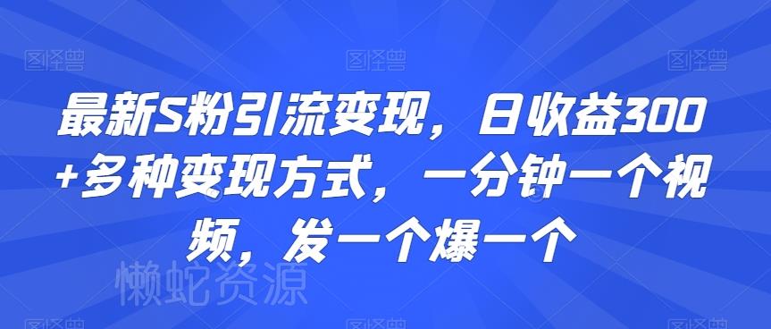最新S粉引流变现，日收益300+多种变现方式，一分钟一个视频，发一个爆一个【揭秘】