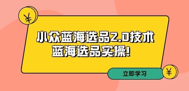 拼多多培训第33期:小众蓝海选品2.0技术-蓝海选品实操!