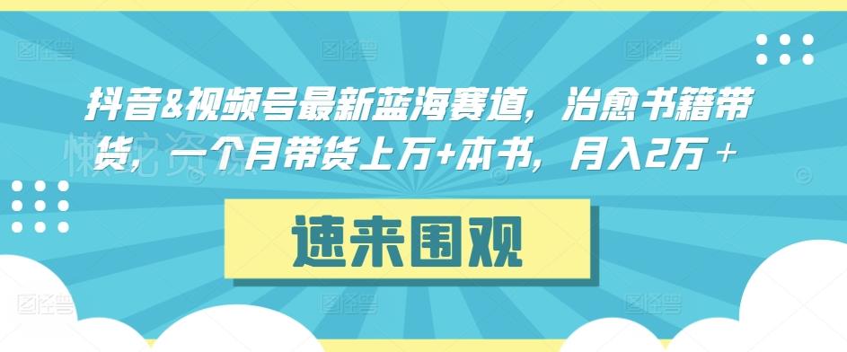 抖音&视频号最新蓝海赛道,治愈书籍带货,一个月带货上万+本书,月入2万+【揭秘】