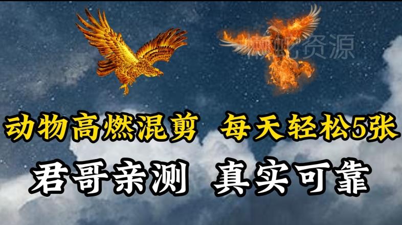 动物超燃混剪,每天轻松5张,剪辑简单大家爱看【揭秘】