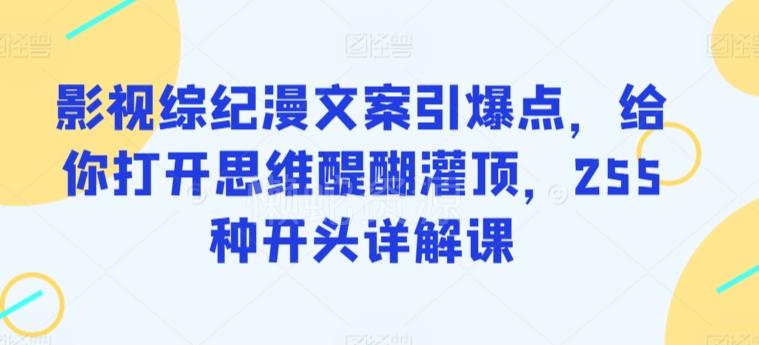 影视综纪漫文案引爆点,给你打开思维醍醐灌顶,255种开头详解课