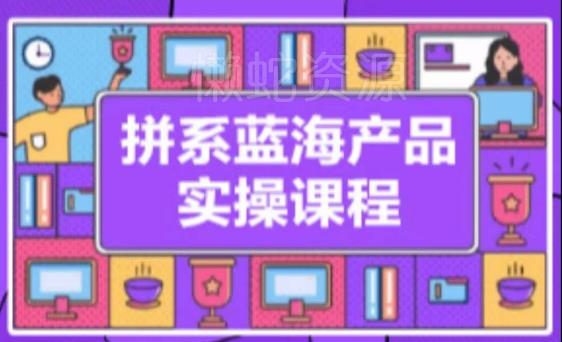 拼系冷门蓝海产品实操课程,从注册店铺到选品上架到流量维护环环相扣