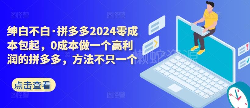 拼多多2024零成本包起,0成本做一个高利润的拼多多,方法不只一个
