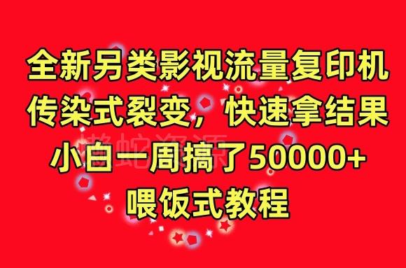 全新另类影视流量复印机,传染式裂变,快速拿结果,小白一周搞了50000+,喂饭式教程【揭秘】