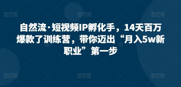 自然流·短视频IP孵化手,14天百万爆款了训练营,带你迈出“月入5w新职业”第一步