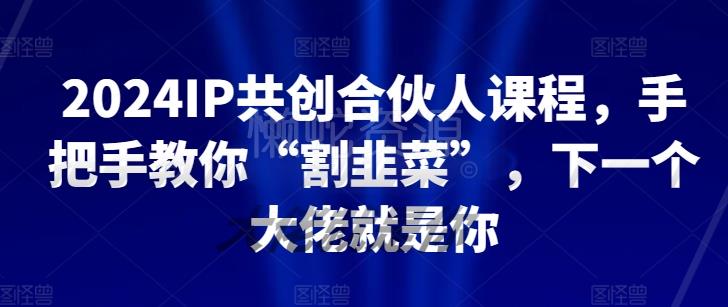 2024IP共创合伙人课程，手把手教你“割韭菜”，下一个大佬就是你