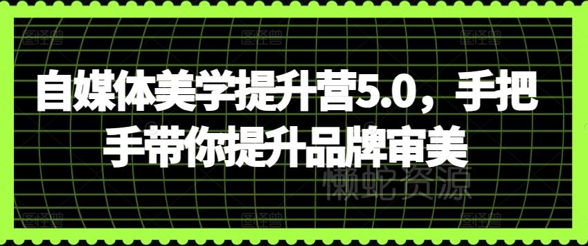 自媒体美学提升营5.0,手把手带你提升品牌审美