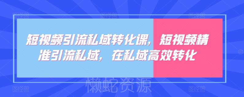 短视频引流私域转化课,短视频精准引流私域,在私域高效转化
