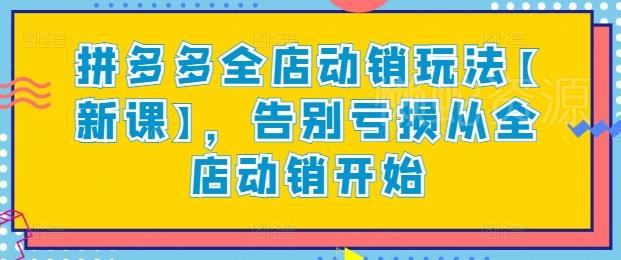 拼多多全店动销玩法【新课】,告别亏损从全店动销开始