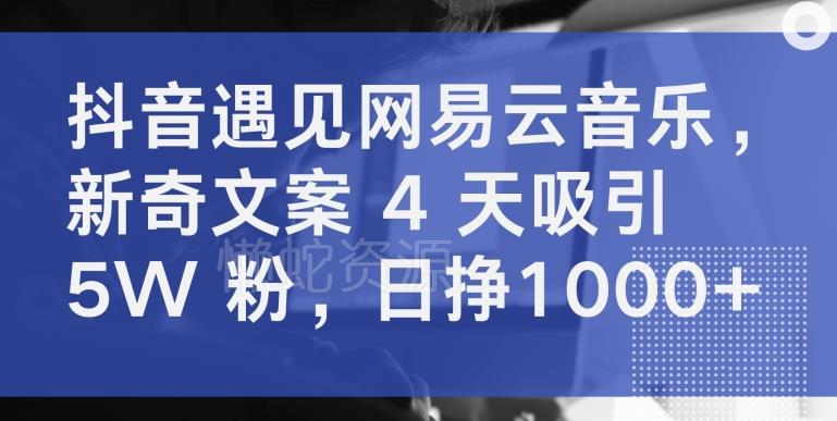 抖音遇见网易云音乐,新奇文案 4 天吸引 5W 粉,日挣1000+【揭秘】