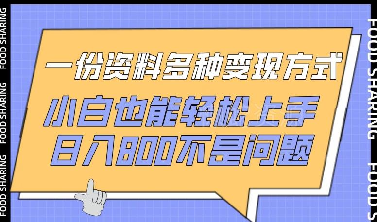 一份资料多种变现方式,小白也能轻松上手,日入800不是问题【揭秘】