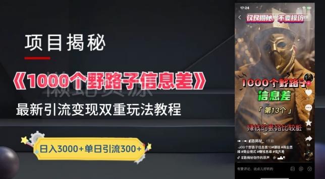 一千个野路子信息差最新玩法教程-变现+引流的玩法具体拆解【揭秘】