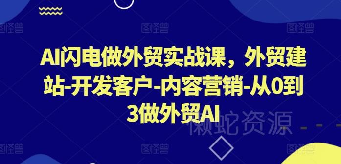 AI闪电做外贸实战课，​外贸建站-开发客户-内容营销-从0到3做外贸AI